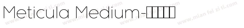 Meticula Medium字体转换